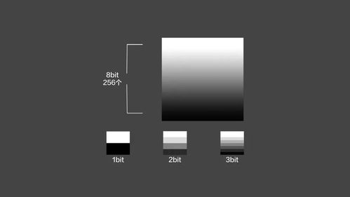 8bitphotolab软件下载安卓版_官方手机app下载_8bitphotolab电脑PC端最新版本