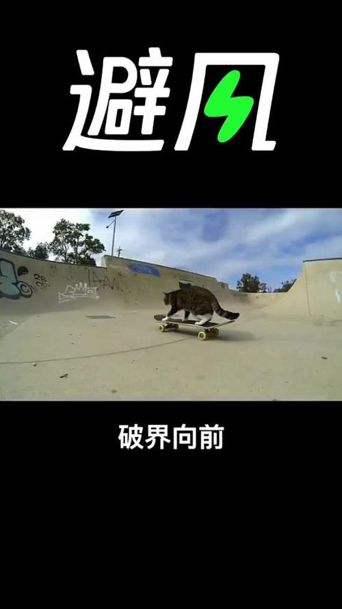 Before避风下载安卓版_官方手机app下载_Before避风电脑PC端最新版本 Before避风下载安卓版_官方手机app下载_Before避风电脑PC端最新版本