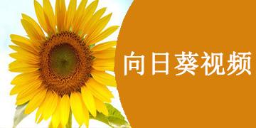向日葵视频下载安卓版_官方手机app下载_向日葵视频电脑PC端最新版本