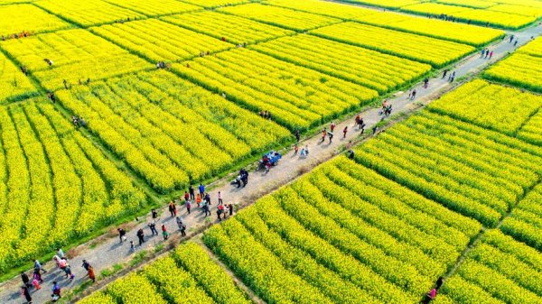 吉安土特产精选APP下载_官方手机应用下载_吉安土特产电脑PC端最新版