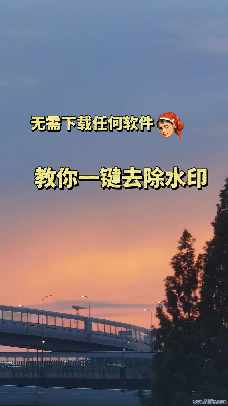 视频去水印软件下载_官方手机app下载_电脑PC端最新版本 视频去水印软件下载_官方手机app下载_电脑PC端最新版本