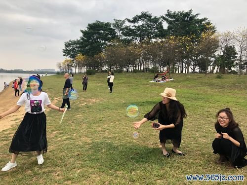快乐走一走软件下载_官方手机app下载_快乐走一走电脑PC端最新版本