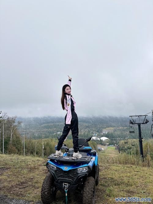 丛林之旅最全游戏攻略解说_丛林之旅最新游戏技巧通关 丛林之旅最全游戏攻略解说_丛林之旅最新游戏技巧通关