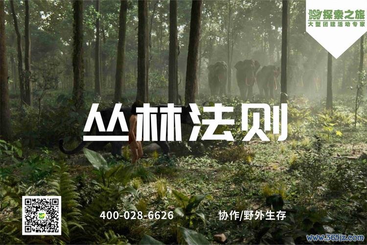 丛林生存法则最全游戏攻略解说_丛林生存法则最新游戏技巧通关 丛林生存法则最全游戏攻略解说_丛林生存法则最新游戏技巧通关