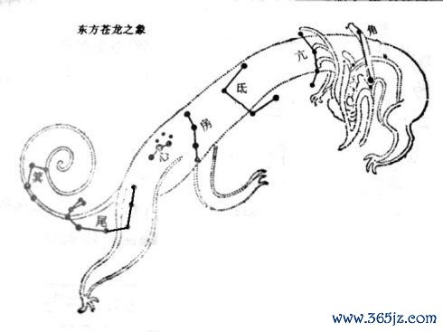 东方苍龙游戏攻略秘籍_东方苍龙新手入门必看 东方苍龙游戏攻略秘籍_东方苍龙新手入门必看