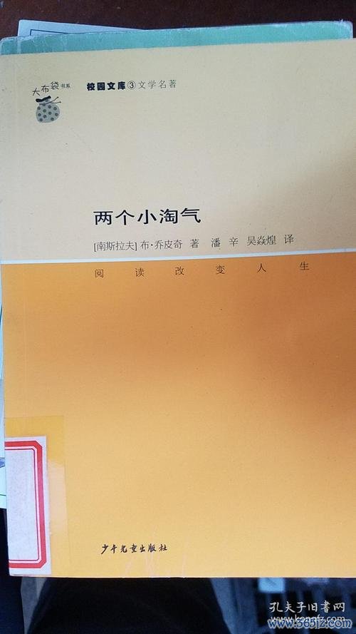 两个小淘气最全游戏攻略解说_两个小淘气最新游戏技巧通关 两个小淘气最全游戏攻略解说_两个小淘气最新游戏技巧通关