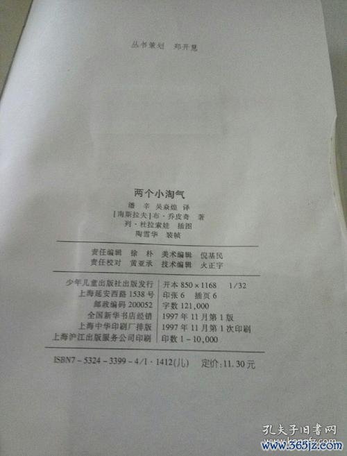 两个小淘气最全游戏攻略解说_两个小淘气最新游戏技巧通关 两个小淘气最全游戏攻略解说_两个小淘气最新游戏技巧通关