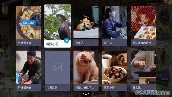 有家tv电视直播下载安卓版_官方手机app下载_有家tv电视直播电脑PC端最新版本 有家tv电视直播下载安卓版_官方手机app下载_有家tv电视直播电脑PC端最新版本