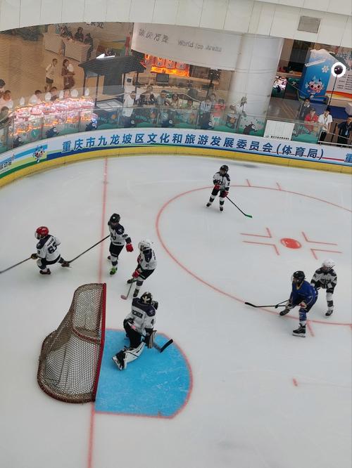 2048个冰球游戏下载_2048个冰球手游下载_2048个冰球安卓苹果app下载