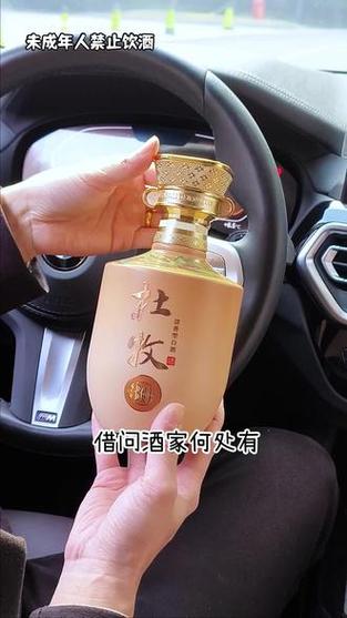 1919人力资源平台下载安卓版_官方手机app下载_1919人力资源平台电脑PC端最新版本