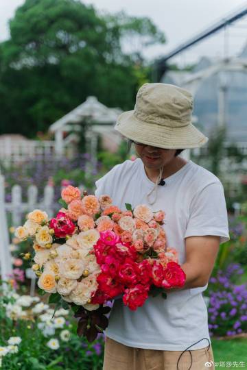 塔莎大冒险下载官方版本_塔莎大冒险手机版安卓苹果下载