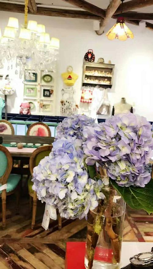 塔莎大冒险下载官方版本_塔莎大冒险手机版安卓苹果下载