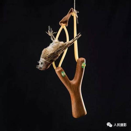 麻雀弹弓战手游下载_麻雀弹弓战官网下载_手机安卓苹果app