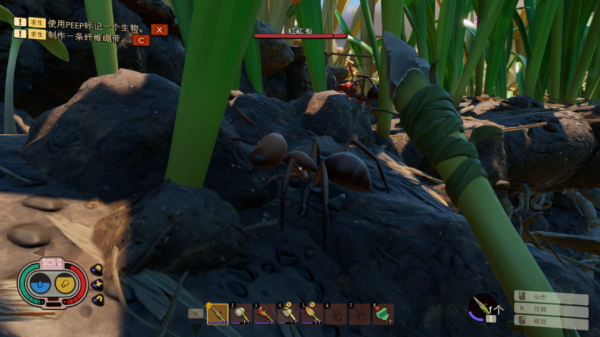 《禁闭求生》评测：昆虫世界生存大作战