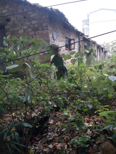 黑暗平房逃脱手游下载_黑暗平房逃脱官网下载_手机安卓苹果app