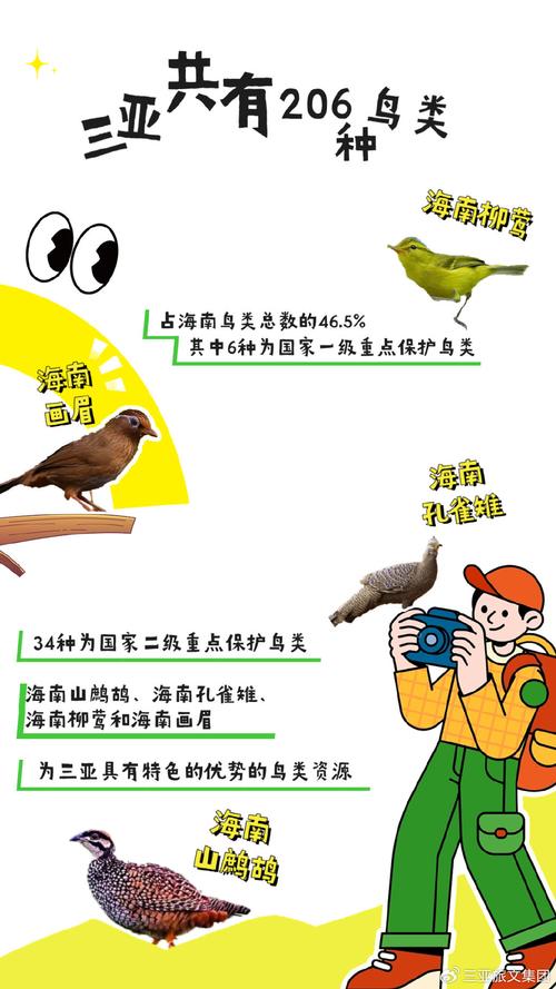 鸟类战争手游下载_鸟类战争官网下载_手机安卓苹果app