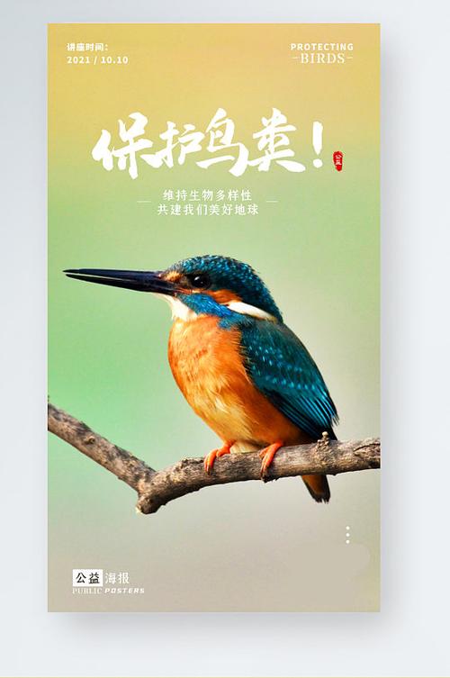 鸟类战争手游下载_鸟类战争官网下载_手机安卓苹果app