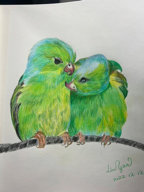 鸟类图画册游戏下载_鸟类图画册手游下载_鸟类图画册安卓苹果app下载