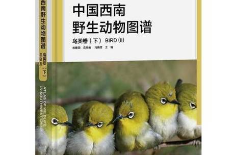 鸟类图画册游戏下载_鸟类图画册手游下载_鸟类图画册安卓苹果app下载