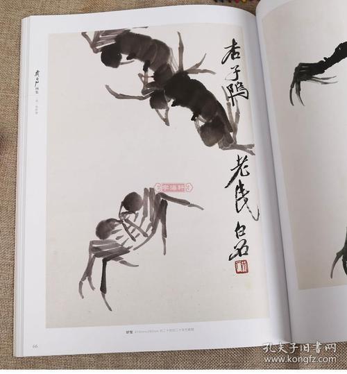 鱼儿图画册游戏下载_鱼儿图画册官网下载_安卓苹果app