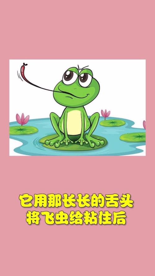 青蛙吃飞虫手游下载_青蛙吃飞虫官网下载_手机安卓苹果app