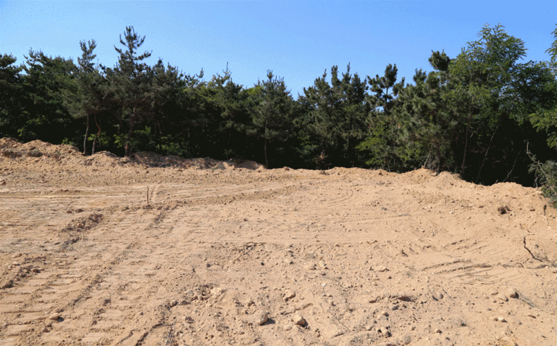 荒地历险无敌版手游下载_荒地历险无敌版官网下载_手机安卓苹果app