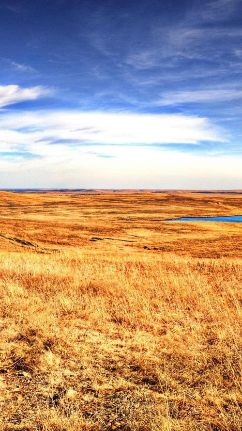 荒地历险无敌版手游下载_荒地历险无敌版官网下载_手机安卓苹果app