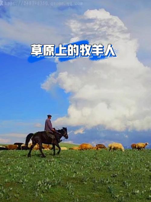 草原牧羊人手游下载_草原牧羊人官网下载_手机安卓苹果app