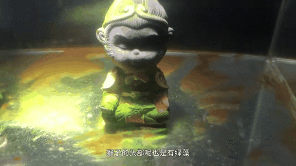 绿猴子接盘子游戏下载_绿猴子接盘子官网下载_手机安卓苹果app