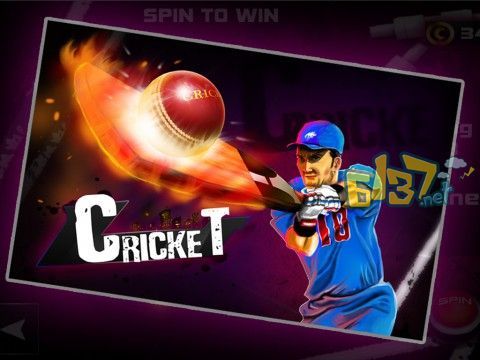 泰拳小子游戏官网下载app_泰拳小子手游攻略_安卓苹果最新版本