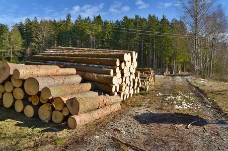 木材运输专家3D山巅运输游戏下载_木材运输专家3D山巅运输安卓苹果最新版本