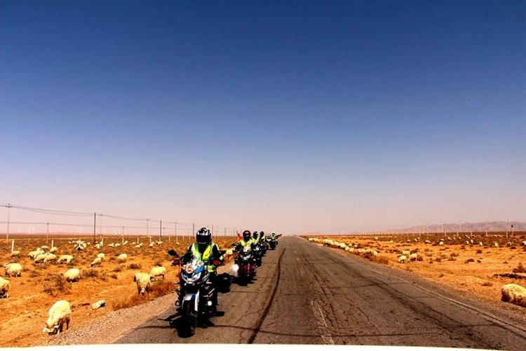 沙漠战鹰手游下载_沙漠战鹰官网下载_手机安卓苹果app