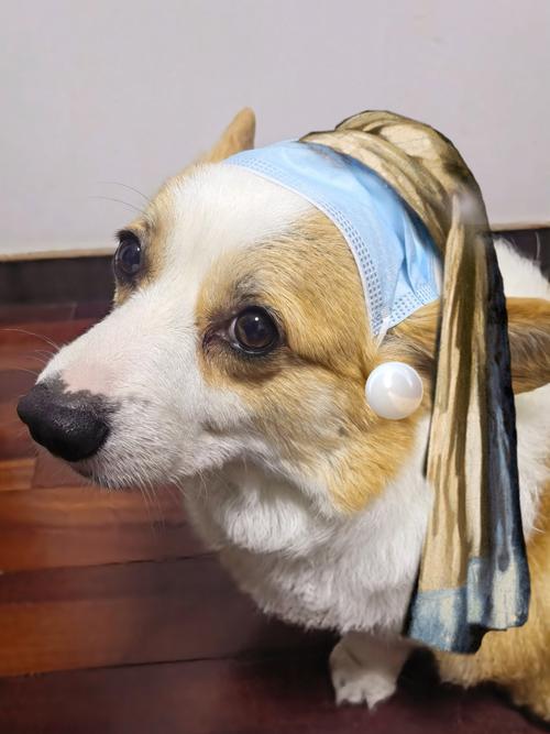 可爱女孩与萌宠狗的冒险游戏下载_趣味女孩宠物狗游戏官网下载_安卓苹果手机app下载