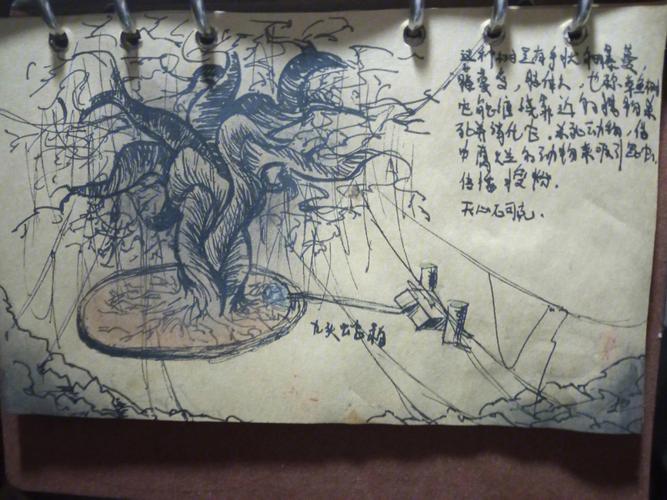 七星鲁王宫手游下载_七星鲁王宫官网下载_手机安卓苹果app