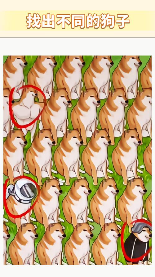 狗狗找茬游戏下载_狗狗找茬游戏官网下载_手机安卓苹果app