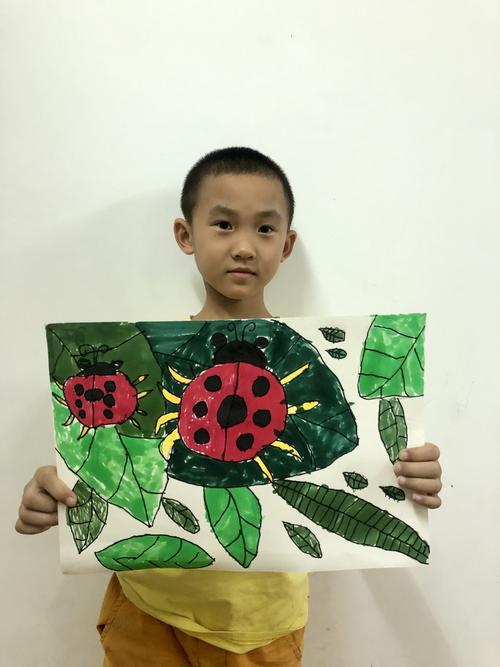 七星瓢虫图画册游戏下载_七星瓢虫图画册官方下载_安卓苹果手机app