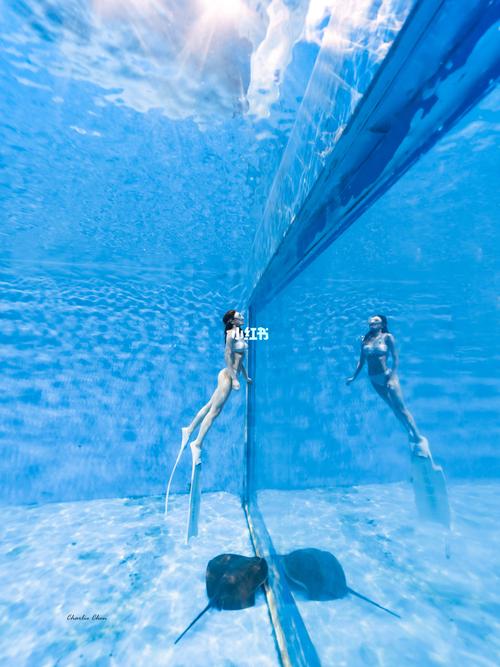 潜泳冒险手游下载_潜泳冒险官网下载_手机安卓苹果app