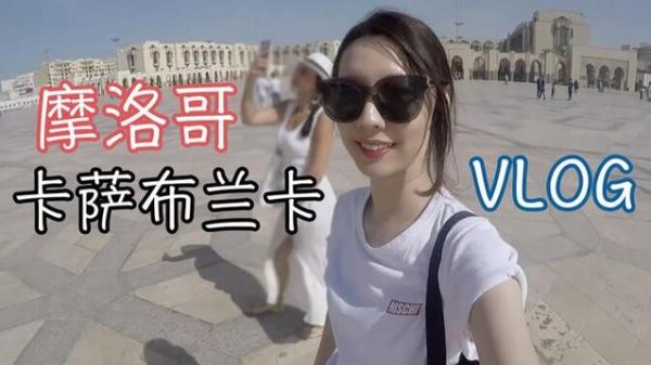 阿萨尼最全游戏攻略解说_阿萨尼最新游戏技巧通关