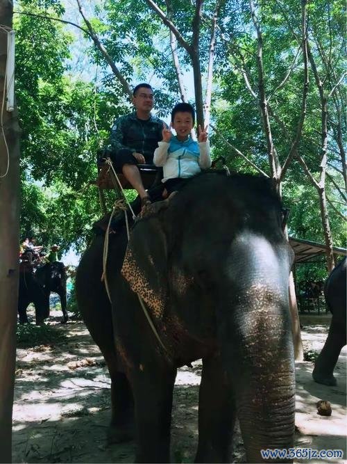 郤游戏最全攻略解说_郤游戏最新技巧通关