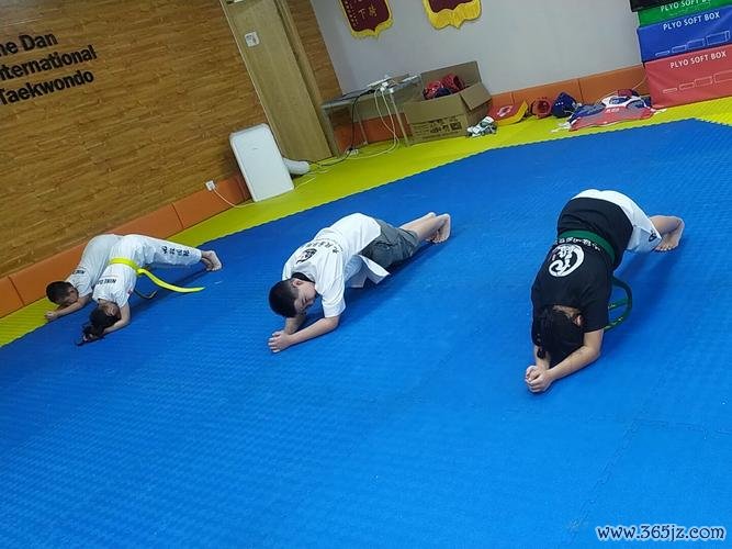 跆拳道游戏最全攻略解说_跆拳道游戏最新技巧通关