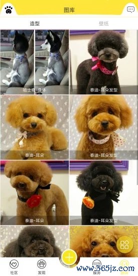 掌心宠物手机版下载_掌心宠物安卓版下载