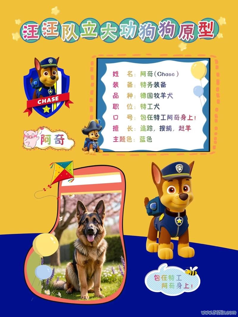 汪汪队动画片最全剧情攻略解说_汪汪队动画片最新趣味看点解析