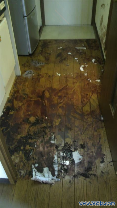 血液管理手机版下载_血液管理安卓版下载